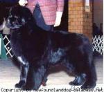 Превью фото № 1008