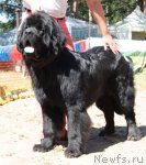 Превью фото № 100866