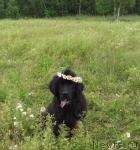 Превью фото № 10088