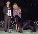 Превью фото № 1009