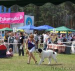 Превью фото № 100931