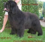 Превью фото № 100932