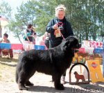 Превью фото № 100974