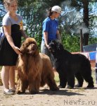 Превью фото № 100997