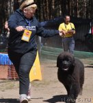 Превью фото № 101084