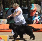 Превью фото № 101550