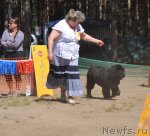 Превью фото № 101553