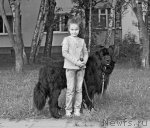 Превью фото № 101650