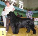 Превью фото № 10187