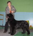 Превью фото № 10198