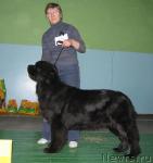 Превью фото № 10199