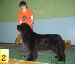 Превью фото № 10203