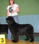 Превью фото № 10204