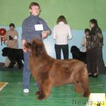 Превью фото № 10211