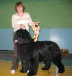 Превью фото № 10215