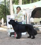 Превью фото № 102225