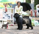 Превью фото № 102227