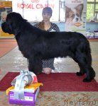 Превью фото № 102283