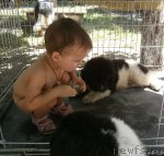 Превью фото № 102537