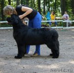 Превью фото № 102553