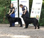 Превью фото № 102557