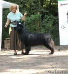 Превью фото № 102558