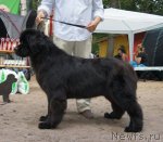 Превью фото № 102565