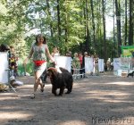 Превью фото № 102580