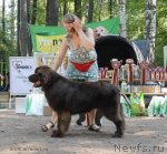 Превью фото № 102584