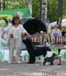 Превью фото № 102600