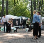 Превью фото № 102602