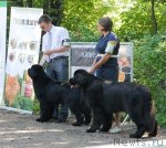 Превью фото № 102611