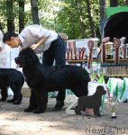 Превью фото № 102666