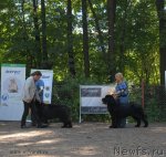 Превью фото № 102701