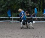 Превью фото № 102729