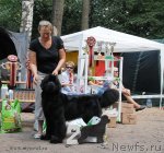 Превью фото № 102743