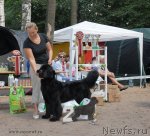 Превью фото № 102744