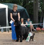 Превью фото № 102745