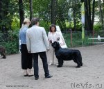 Превью фото № 102749