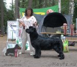 Превью фото № 102752