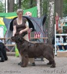 Превью фото № 102756