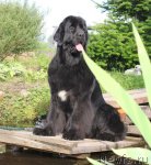 Превью фото № 102948