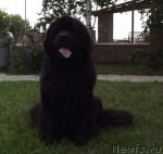 Превью фото № 103769