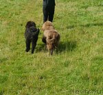 Превью фото № 103847