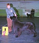 Превью фото № 10395