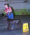 Превью фото № 10398