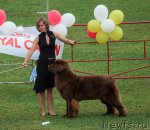 Превью фото № 104678