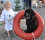 Превью фото № 104755