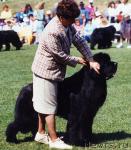 Превью фото № 10513