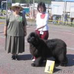 Превью фото № 10539